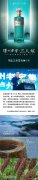 高端浓香旗舰启航记|泸州老窖三人炫悟炫上市实录