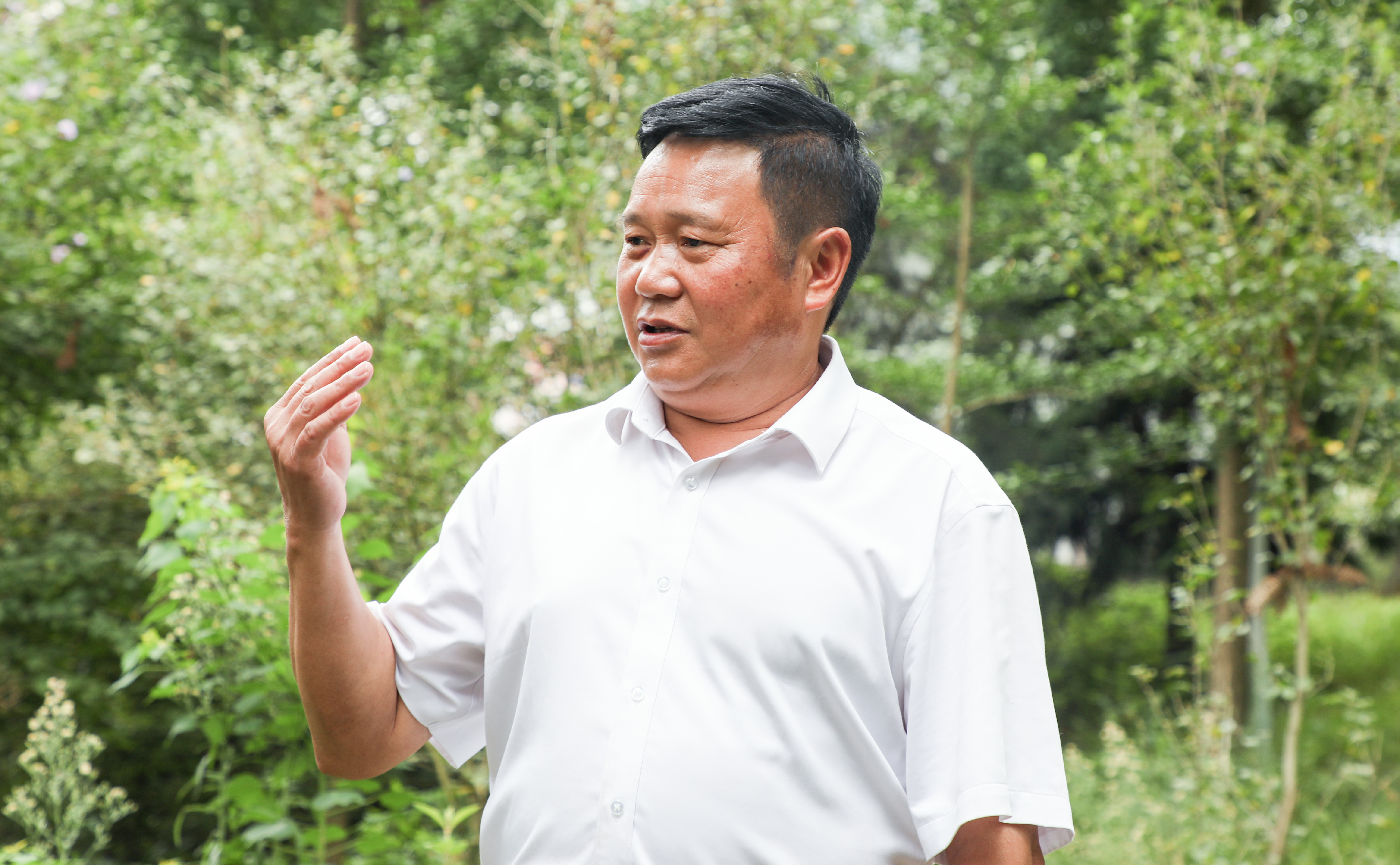 【寻仁迹】七百岁“杉王杉后” 见证乡村爱情故事 【寻仁迹】七百岁“杉王杉后” 见证乡村爱情故事