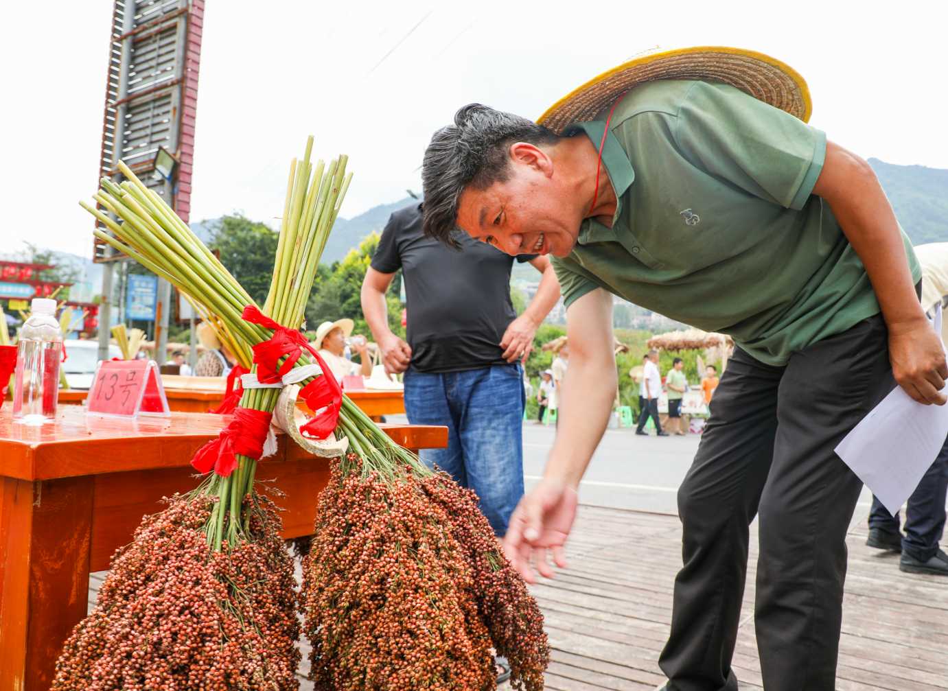雷文权:36载钻研成果 汇成一首《高粱生产二十四节气气候农事歌》 雷文权:36载钻研成果 汇成一首《高粱生产二十四节气气候农事歌》